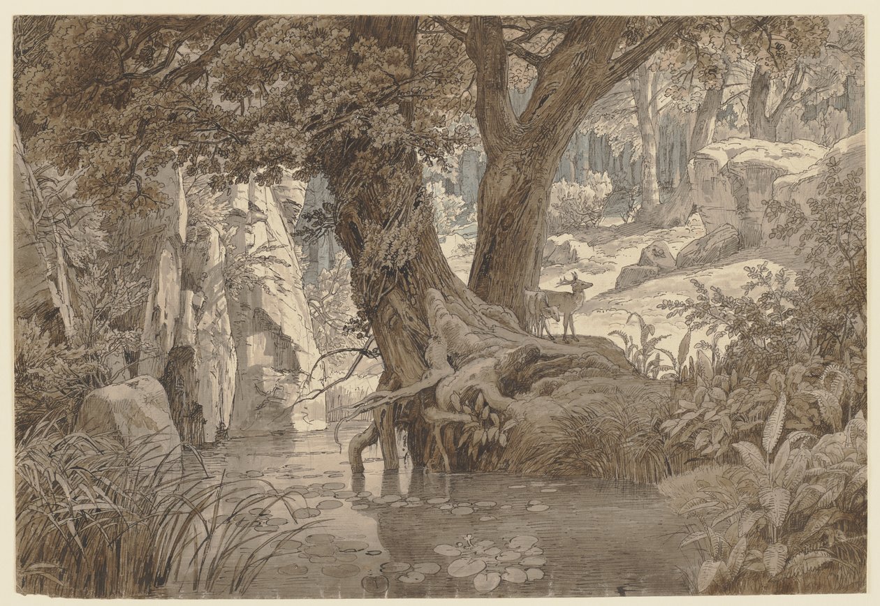 Paesaggio forestale da Johann Wilhelm Schirmer