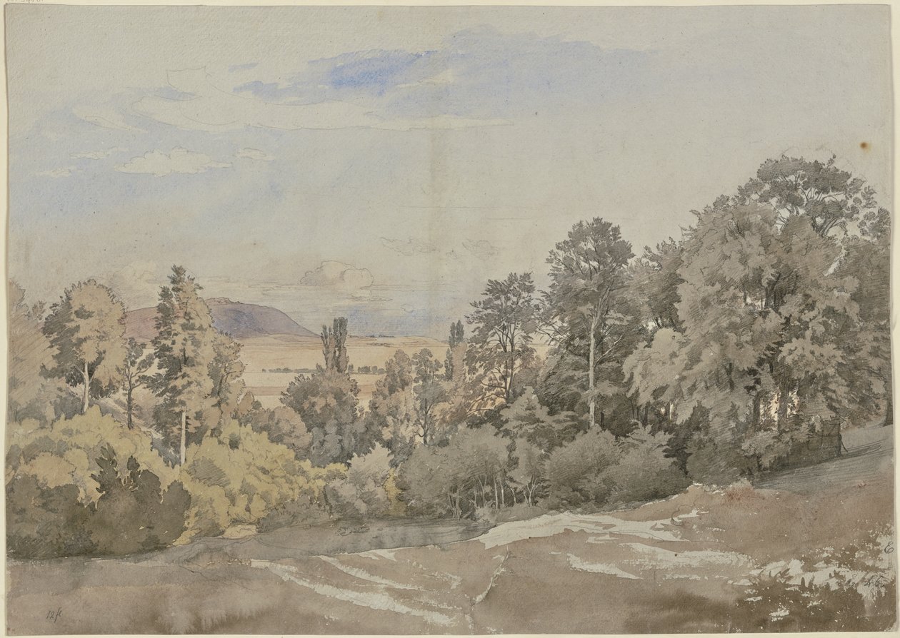 Bosco con vista lontana da Johann Wilhelm Schirmer