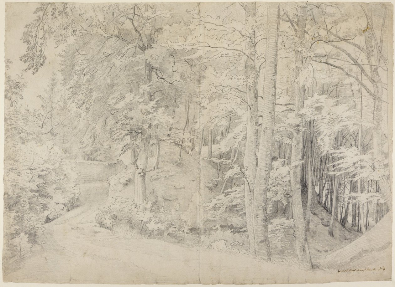 Nella faggeta da Johann Wilhelm Schirmer