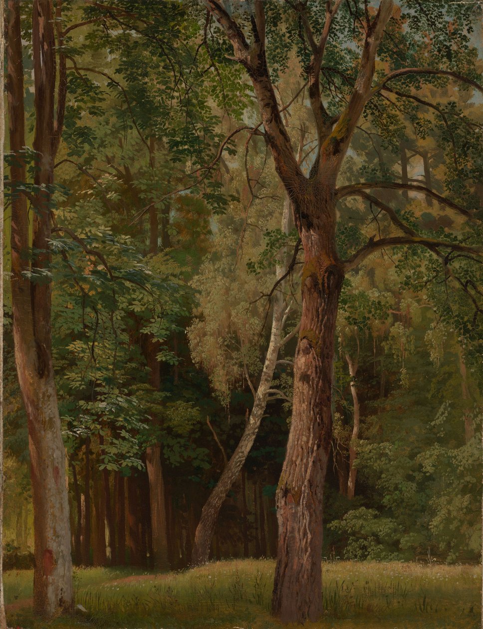 Bosco di latifoglie con castagni e betulle da Johann Wilhelm Schirmer
