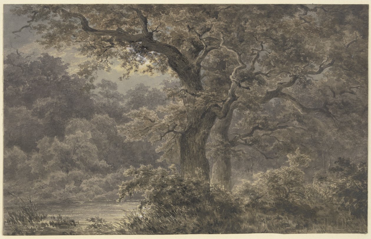 Le querce nella foresta da Johann Wilhelm Schirmer