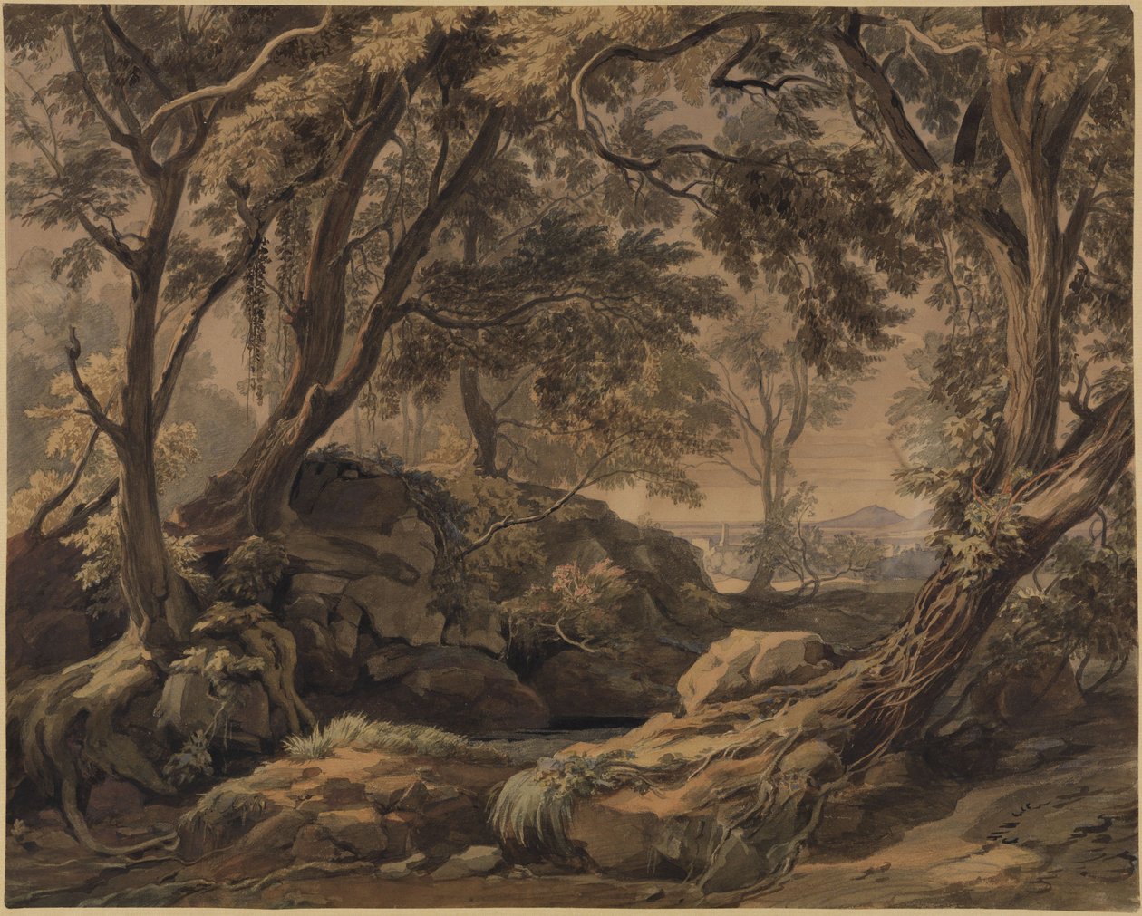 Paesaggio boschivo con veduta di Olevano e del Monte Cavo da Johann Wilhelm Schirmer