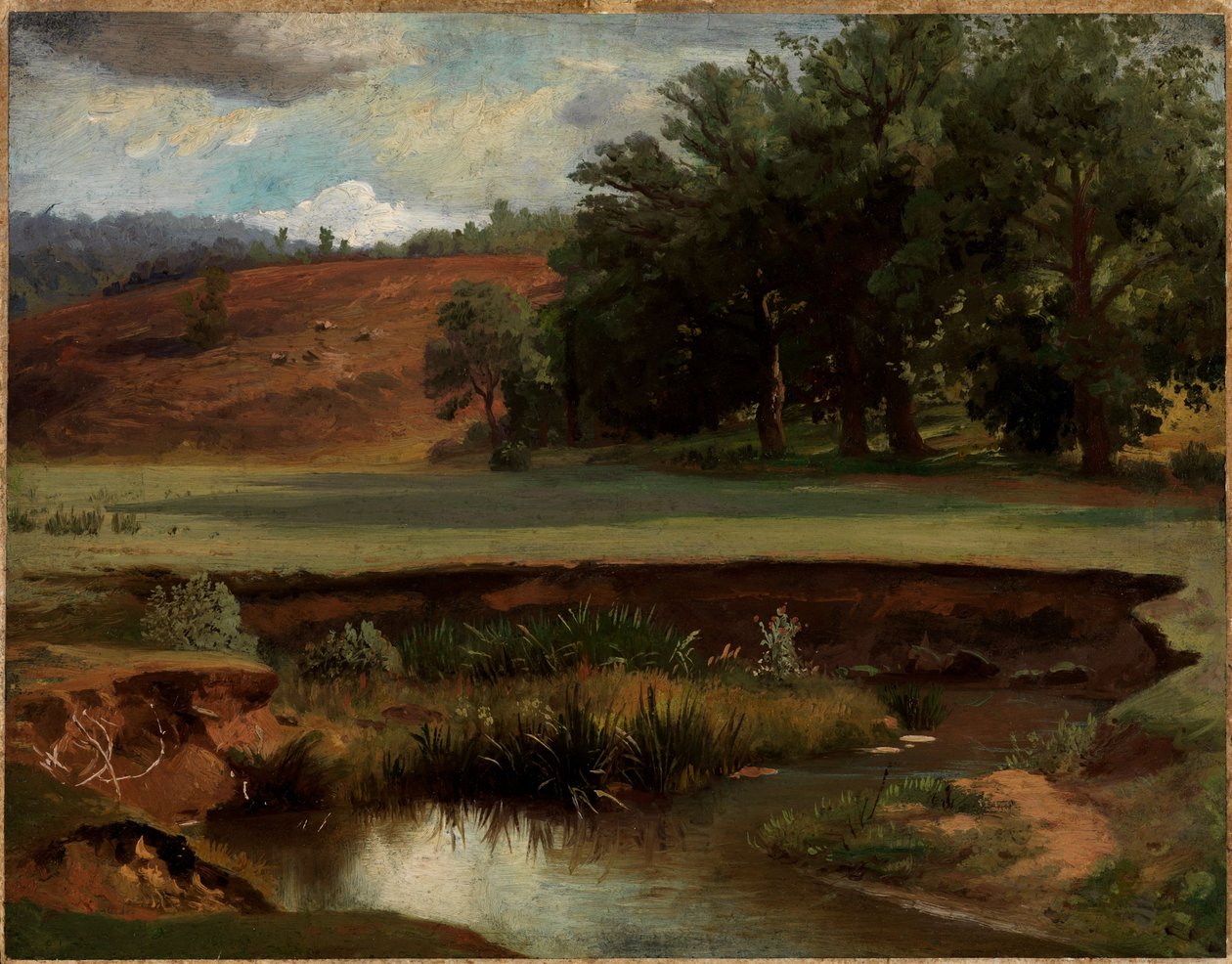 Bordo del bosco con uno stagno in primo piano da Johann Wilhelm Schirmer