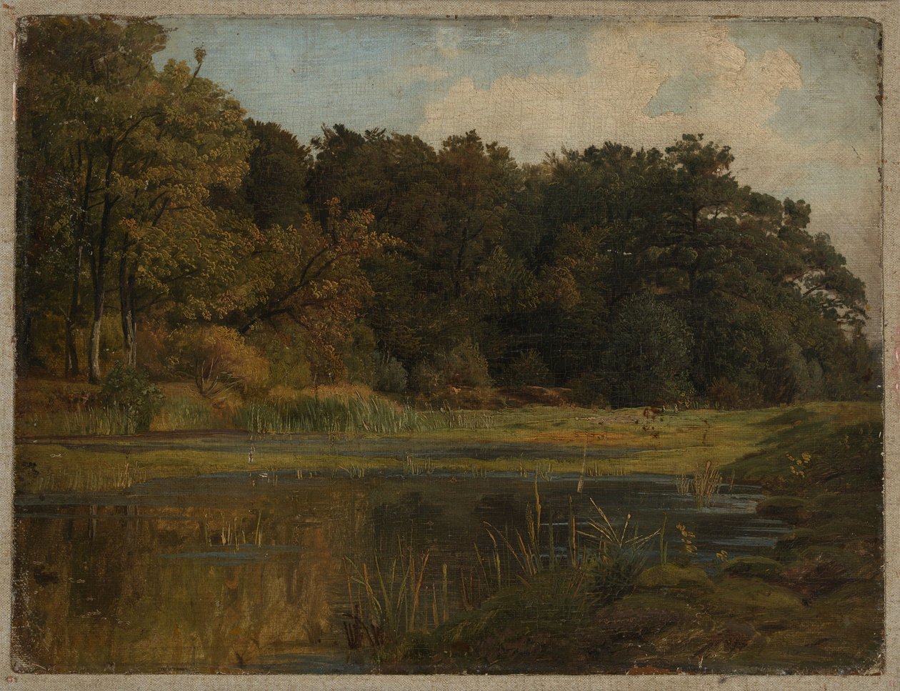 Stagno nel bosco da Johann Wilhelm Schirmer