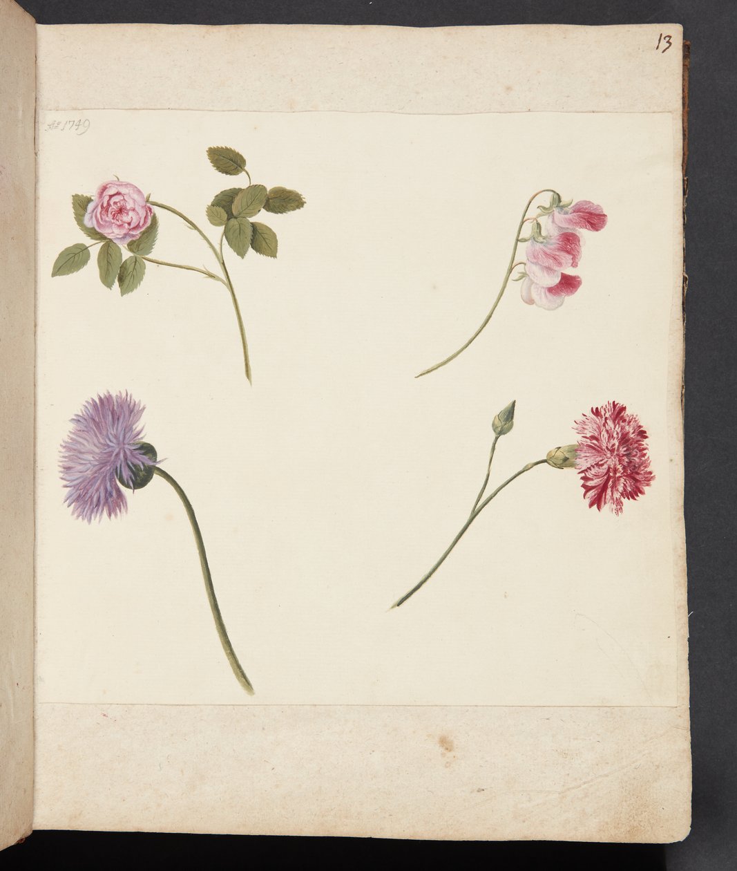 Studio di fiori da Johanna Fosie