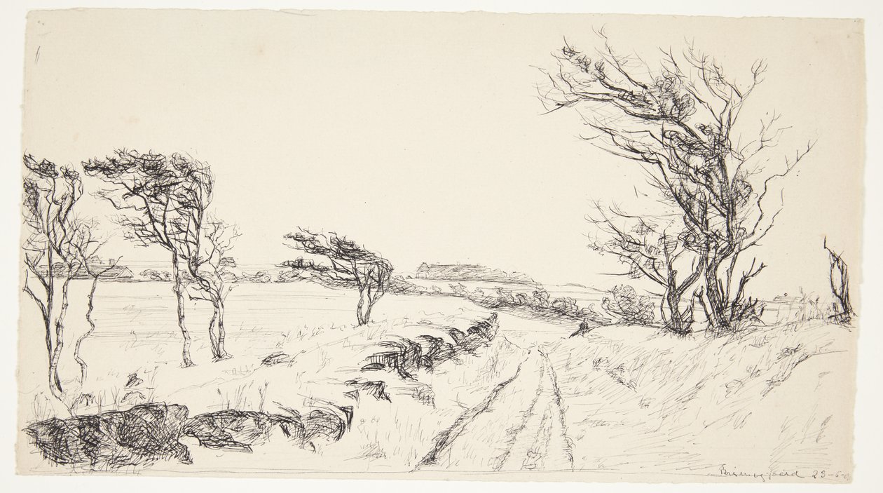Paesaggio Breininggaard da Johanne Krebs