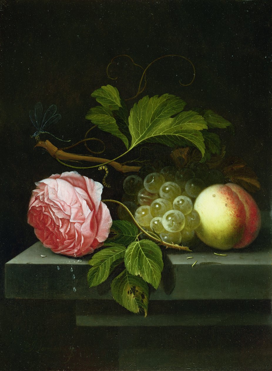 Una natura morta con una rosa, uva e pesca, XVII secolo da Johannes Borman