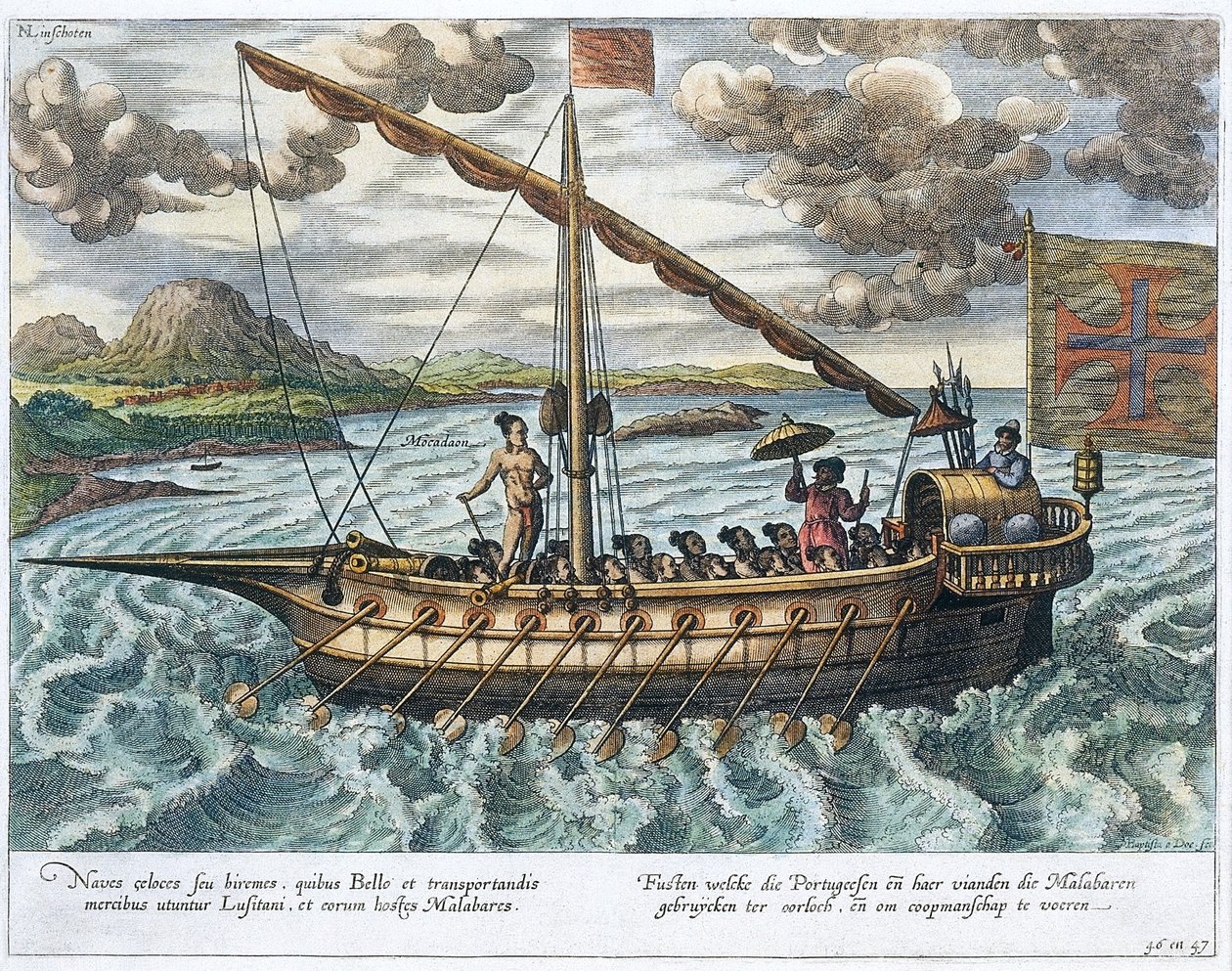 Fusta, illustrazione da 