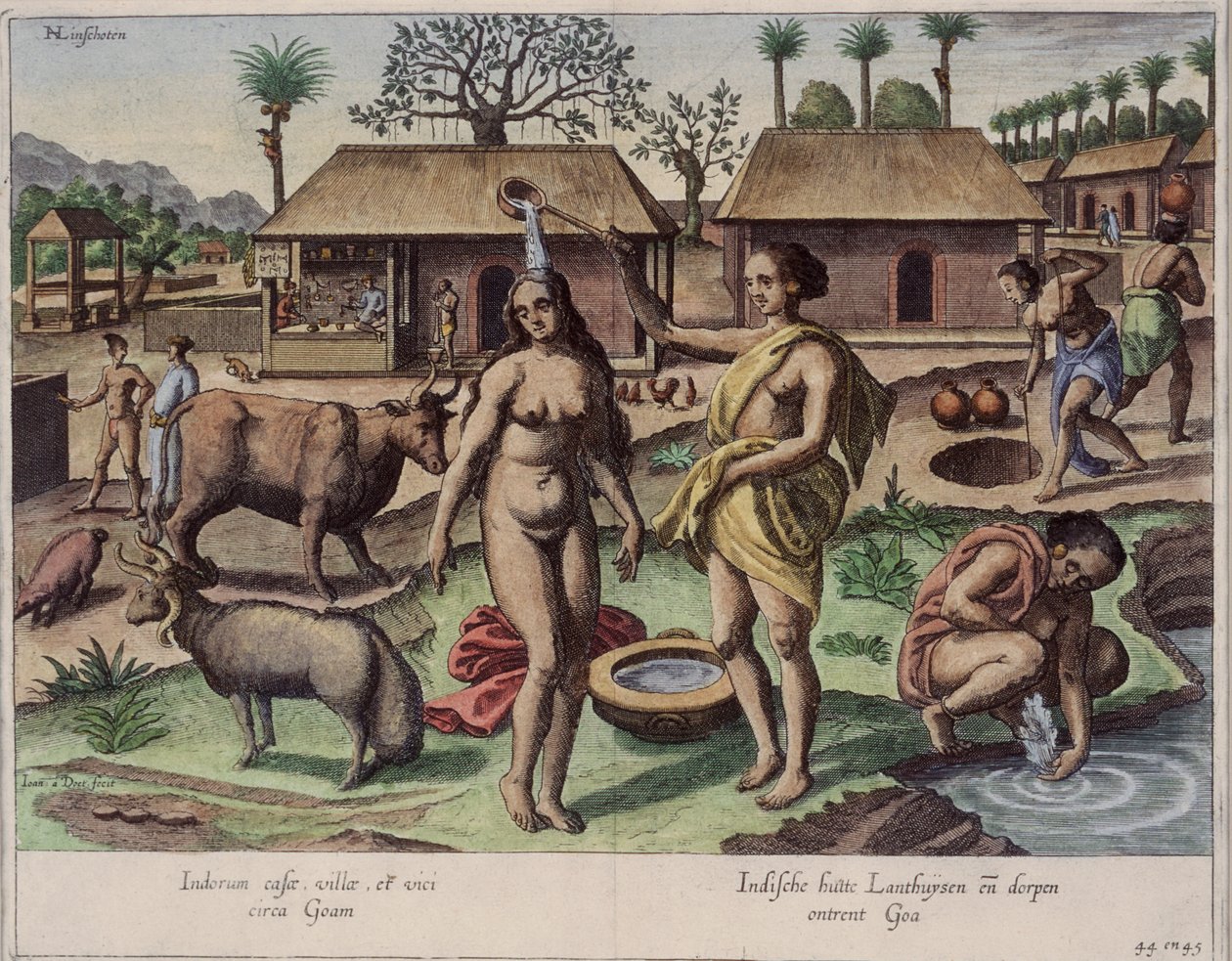 Vita a Goa, illustrazione da 