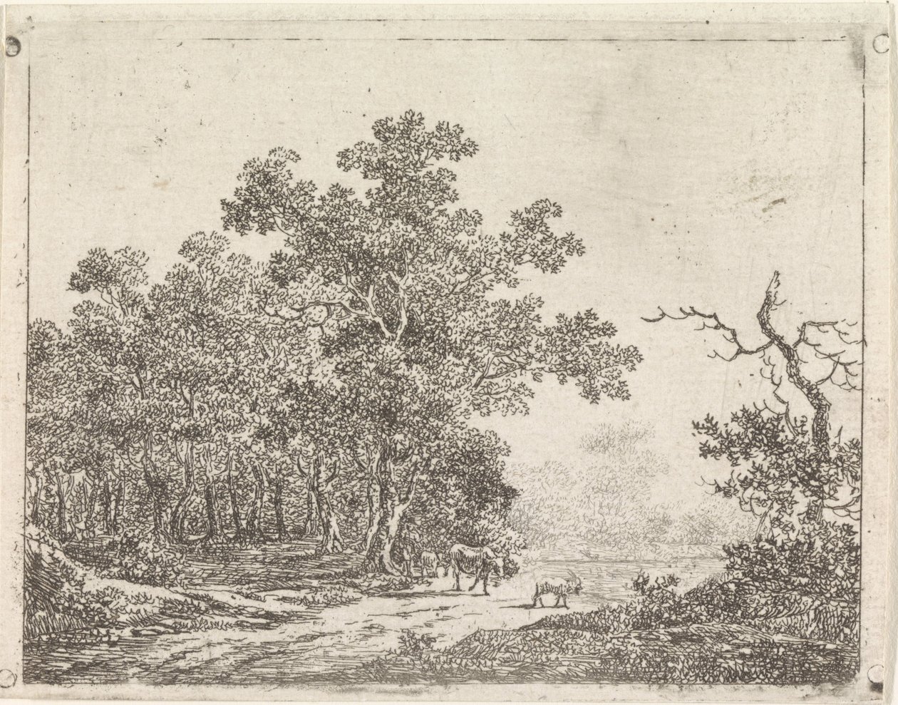 Paesaggio con quercia e bestiame da Johannes Christiaan Janson