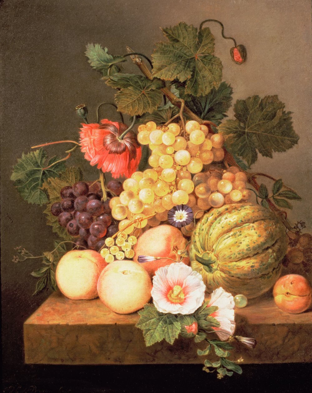 Natura morta con frutta da Johannes Cornelis Bruyn