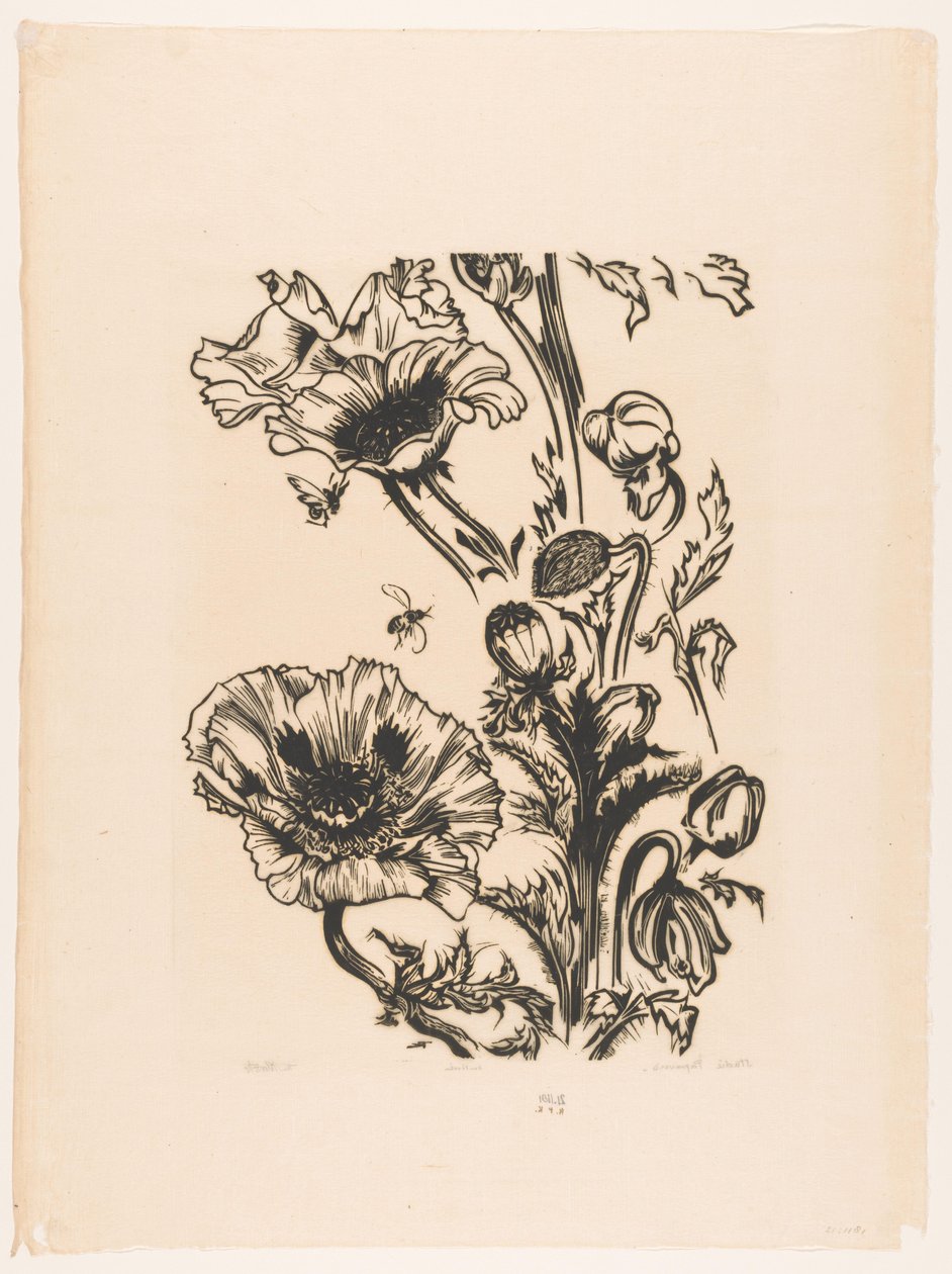 Studio di papaveri da Johannes Frederik Engelbert ten Klooster (signed by artist)