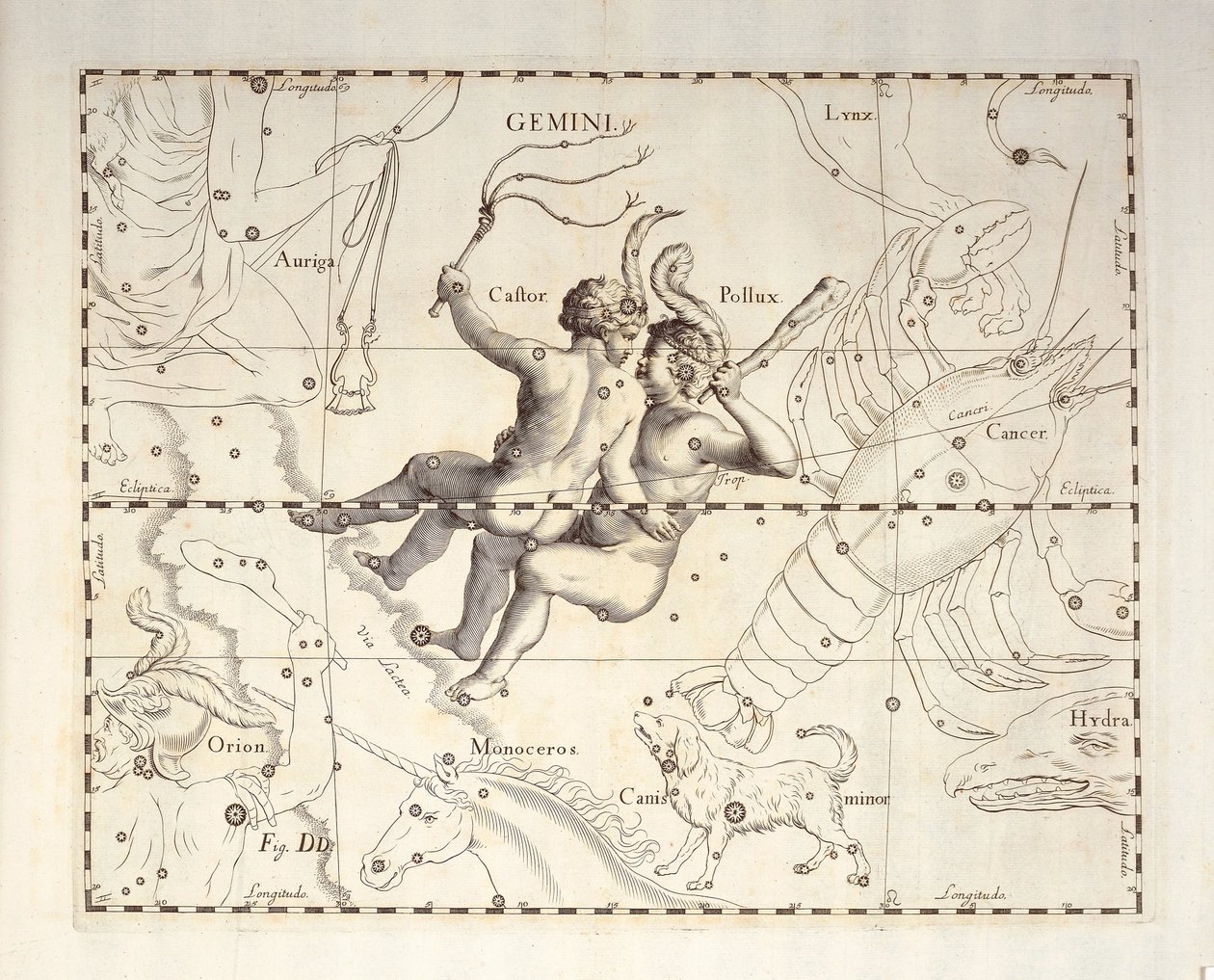 Costellazione dei Gemelli, incisione dall