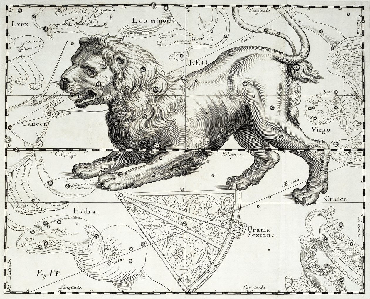 Leone, costellazione zodiacale del Leone, illustrazione tratta dall