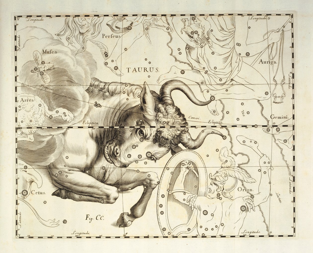 Toro, costellazione del Toro, incisione da atlante celeste Firmamentum Sobiescianum sive Uronographia, di Johann Hevelius (1611-1687), Danzica da Johannes Hevelius