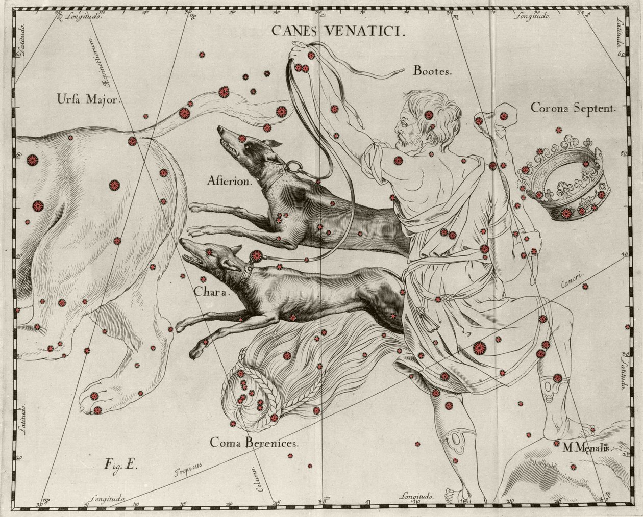 La costellazione Canes Venatici, Cani da caccia. Tavola tratta da Firmamentum Sobiescanum sive Uranographia di Johannes Hevelius da Johannes Hevelius