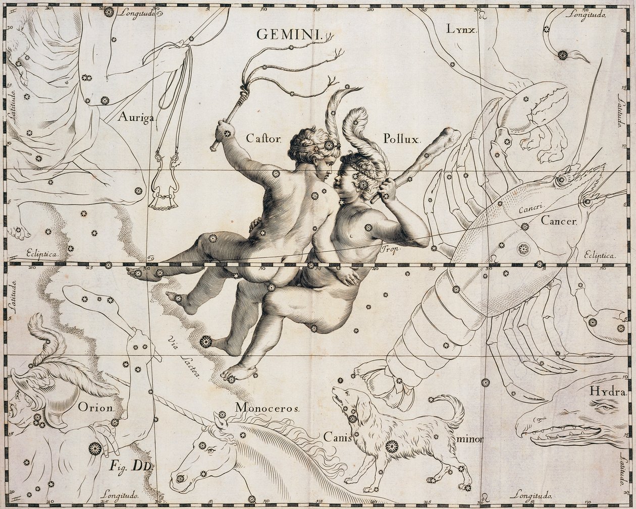 La costellazione dei Gemelli, illustrazione dal Firmamentum Sobiescianum sive Uranographia, di Johann Hevelius (1611-1687), Danzica 1690 da Johannes Hevelius