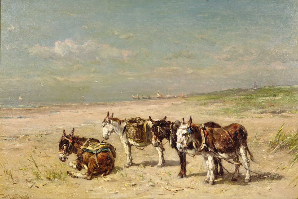 Asini sulla spiaggia da Johannes Hubertus Leonardus de Haas