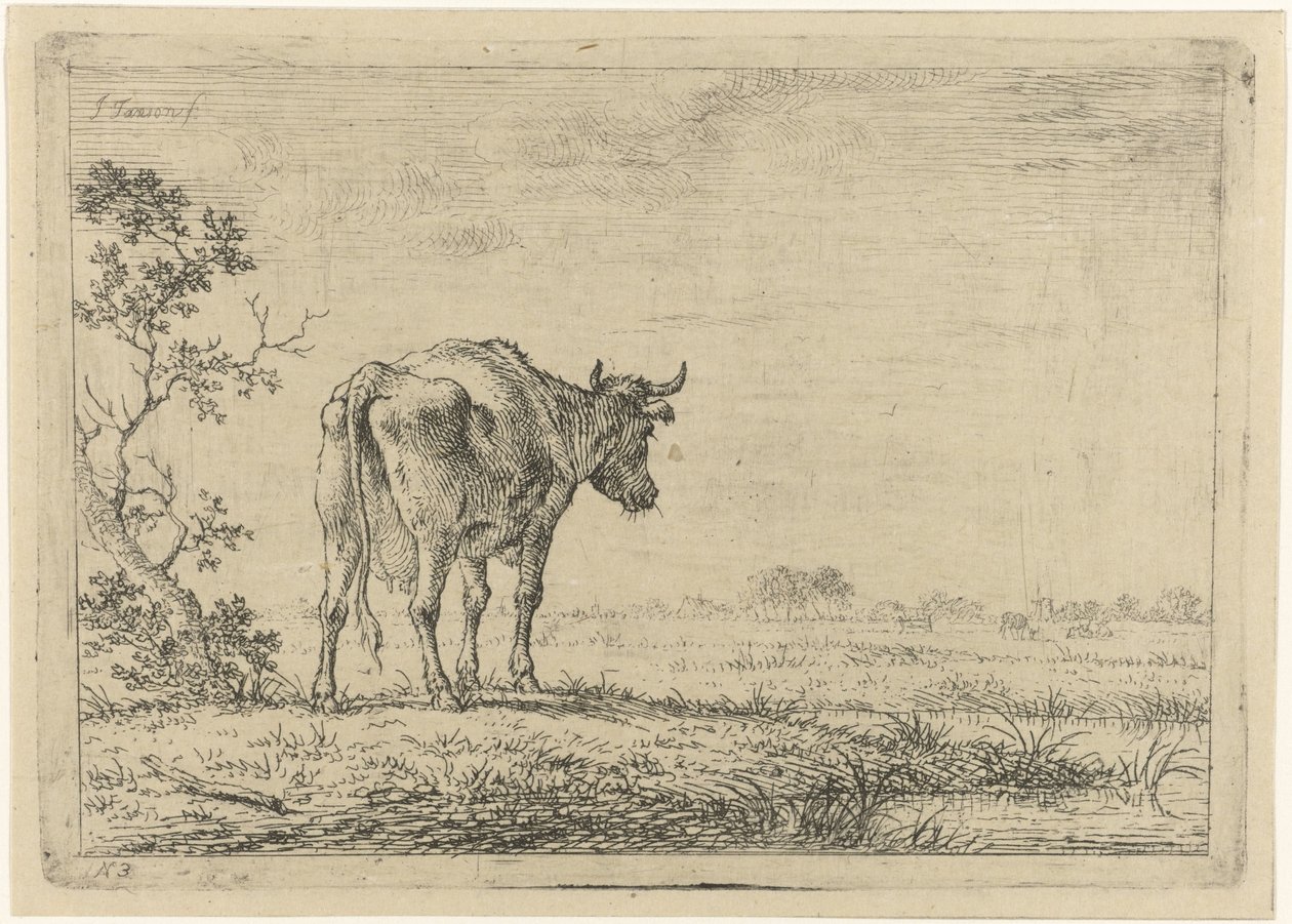 Mucca nel pascolo da Johannes Janson