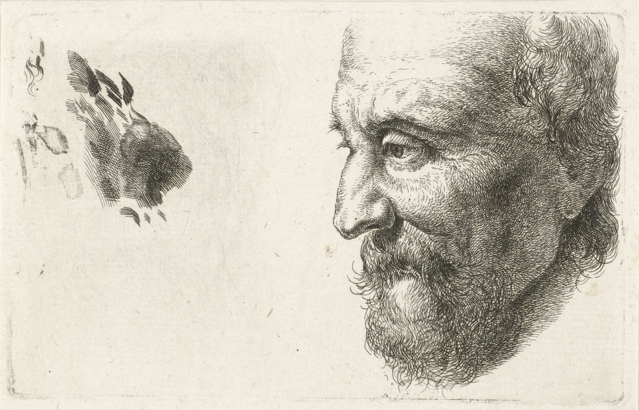 Ritratto di un vecchio di profilo da Johannes Mock