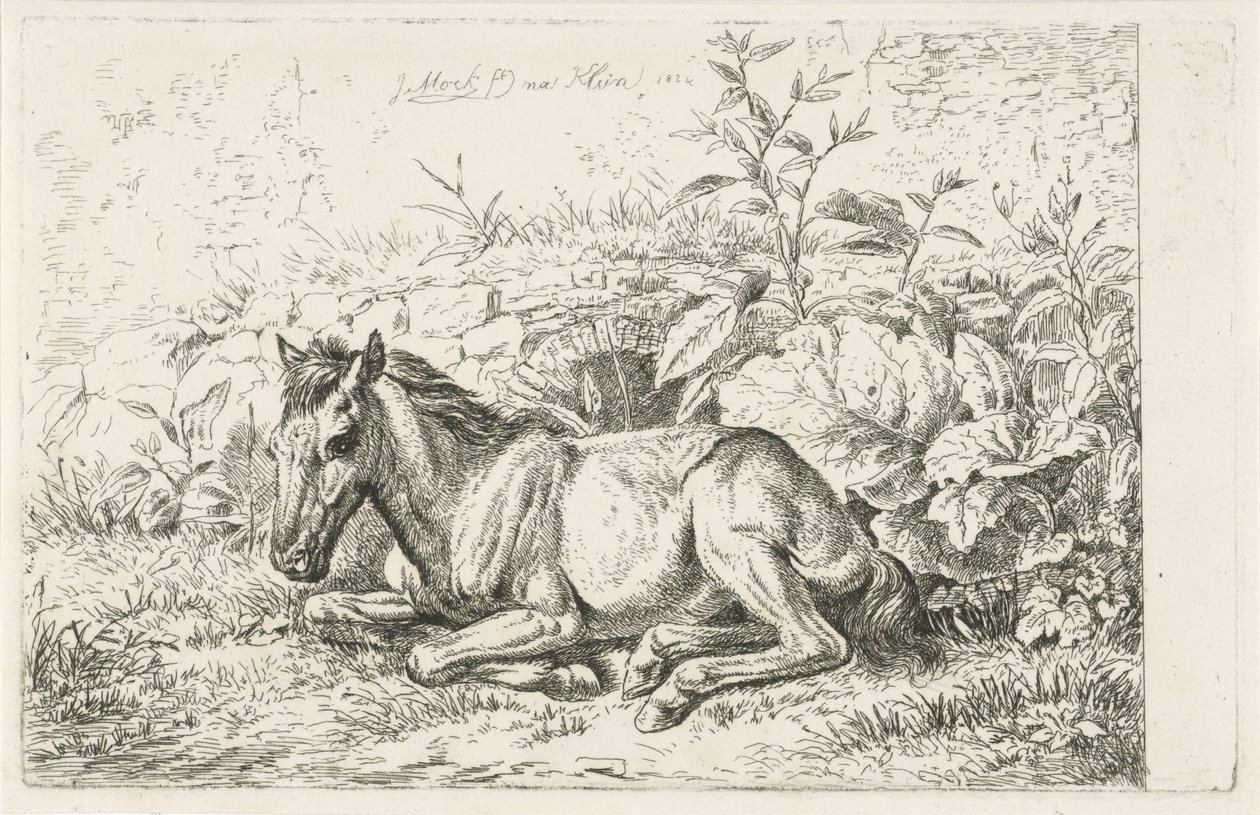 Cavallo sdraiato davanti a qualche pianta da Johannes Mock