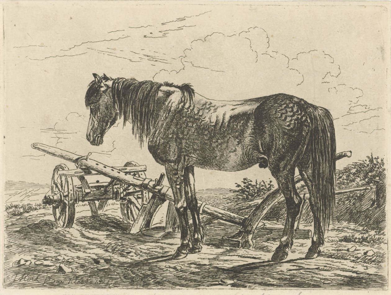 Cavallo con un aratro da Johannes Mock