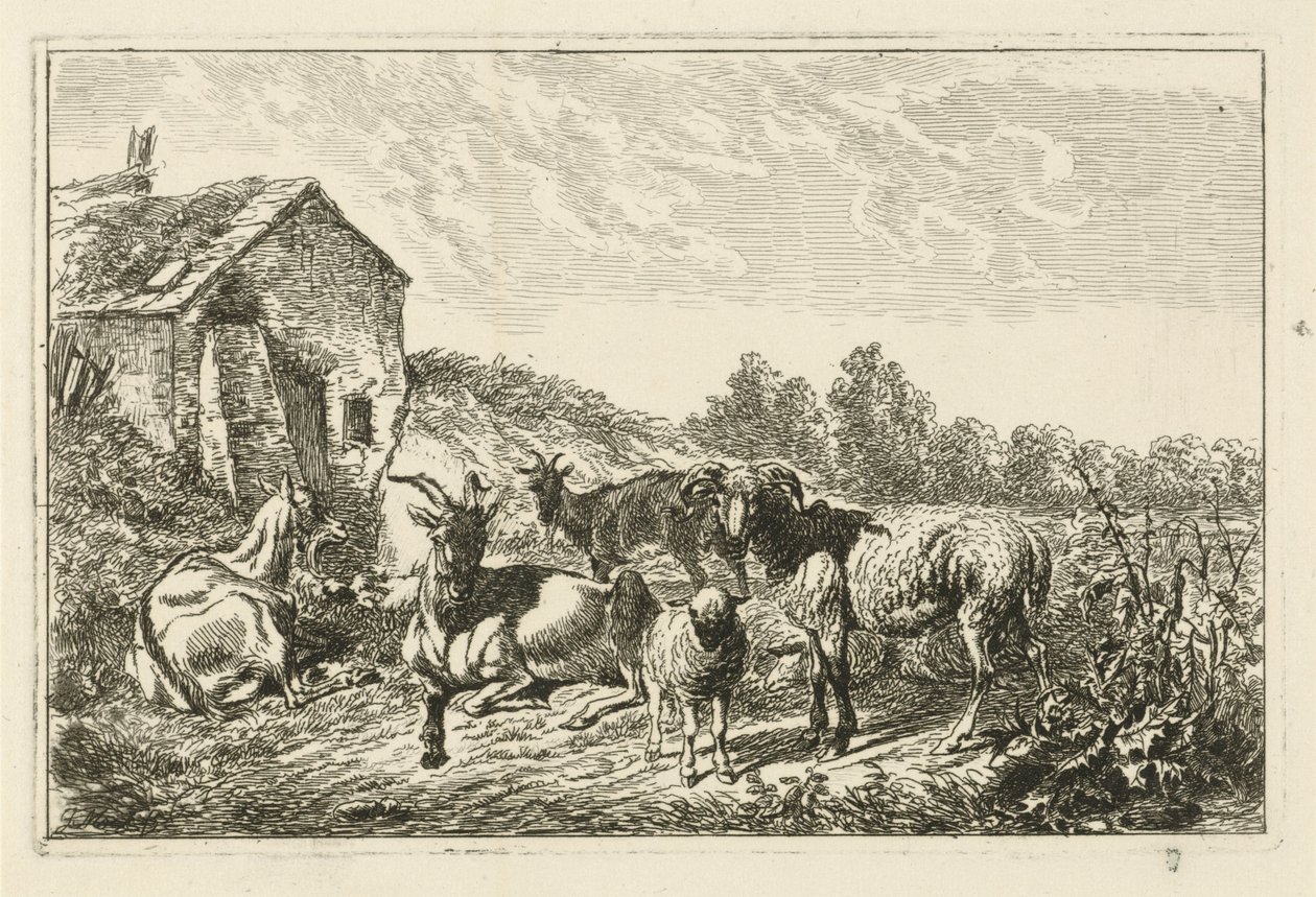 Quattro capre e una pecora vicino a una casa da Johannes Mock