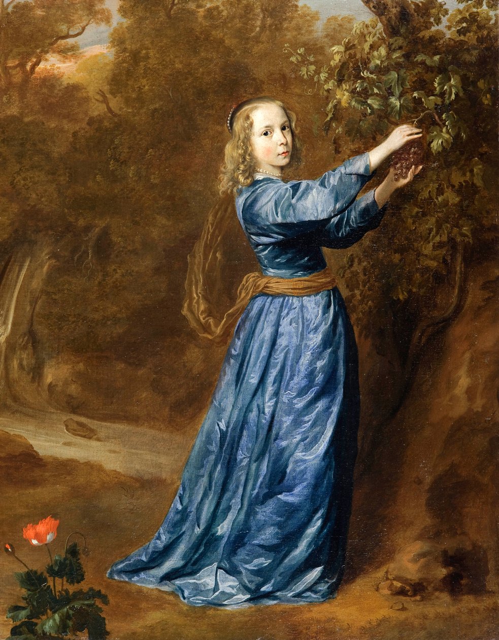 Ritratto di ragazza che raccoglie uva da Johannes Mytens