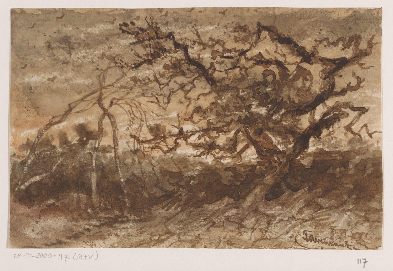 Albero al tramonto da Johannes Tavenraat (signed by artist)