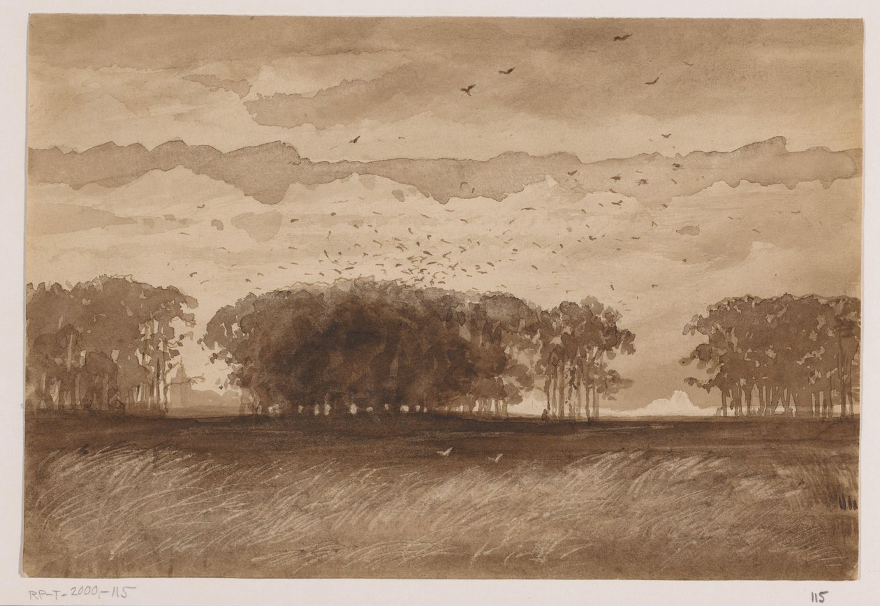 Colonia di corvi in Brabante Settentrionale da Johannes Tavenraat (signed by artist)