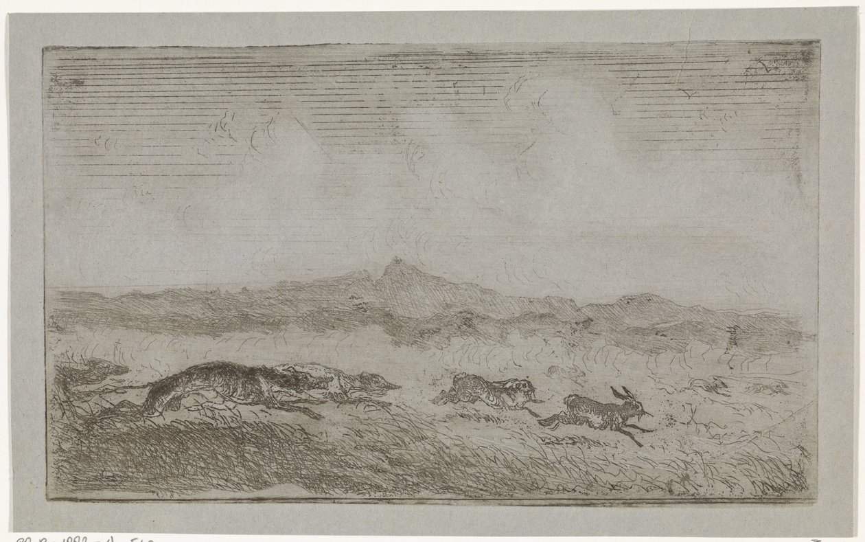 Caccia alla lepre da Johannes Tavenraat