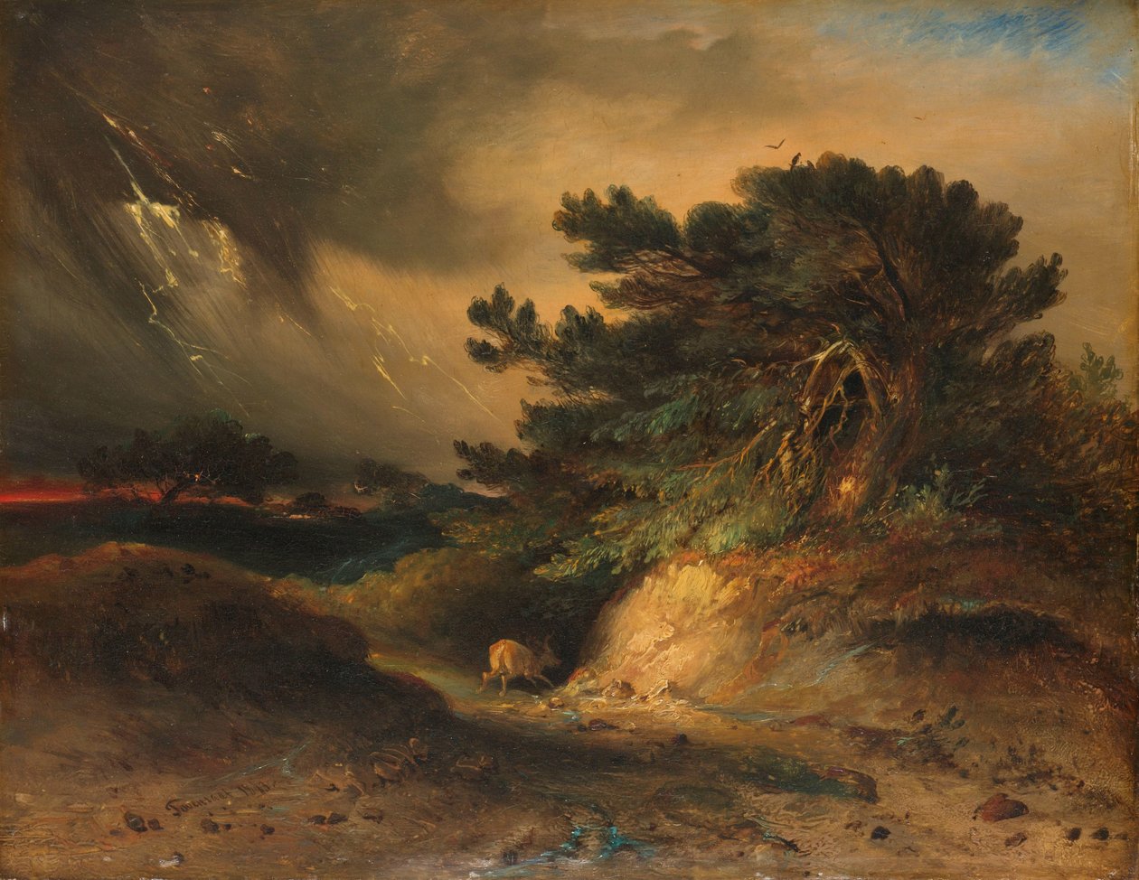 Il temporale da Johannes Tavenraat