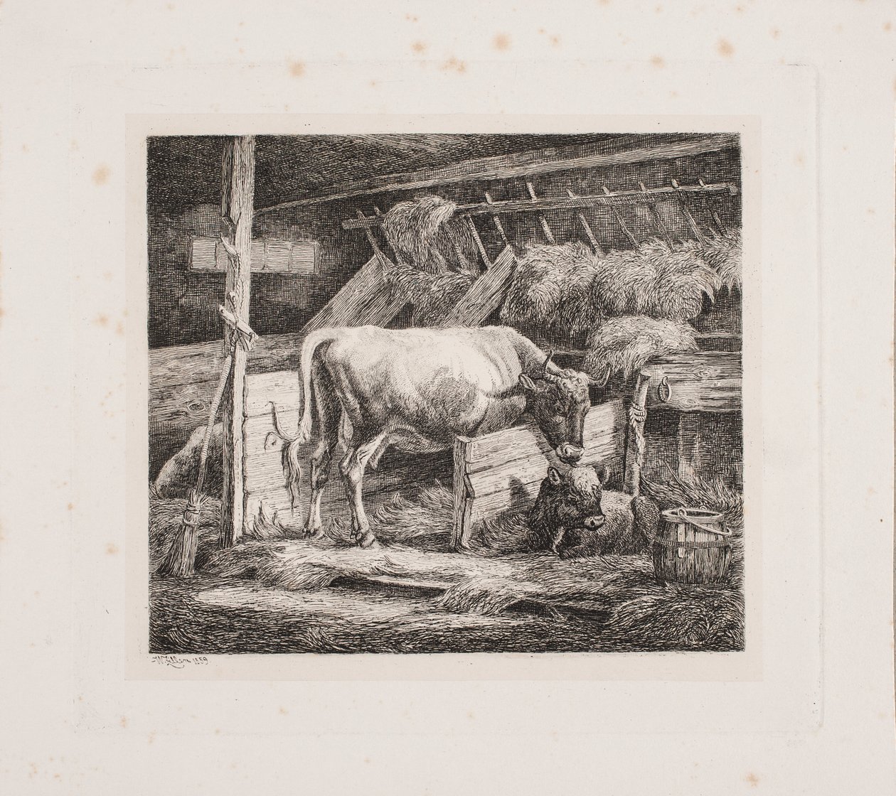 Una stalla da Johannes Wilhelm Zillen