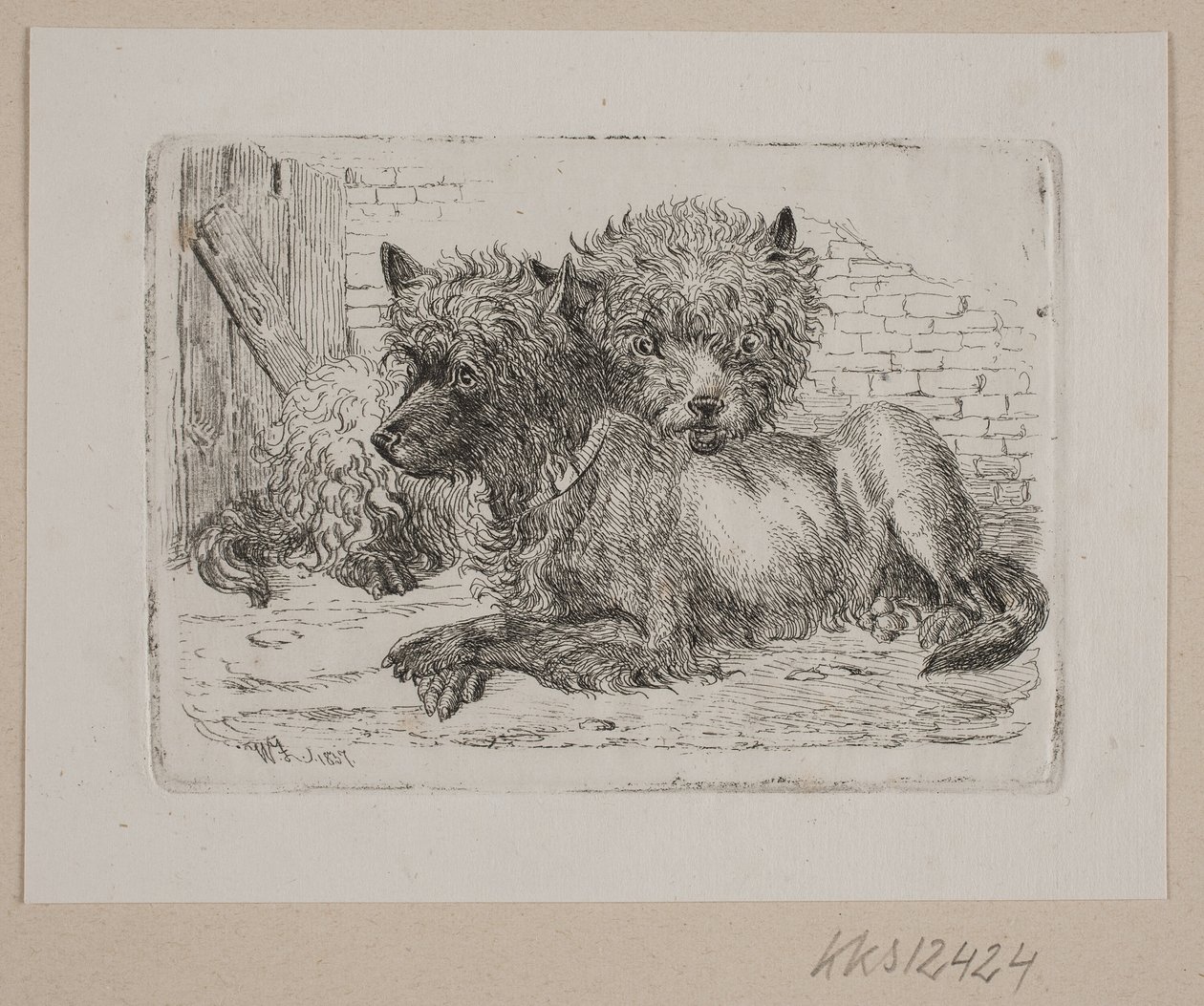 Due cani sdraiati da Johannes Wilhelm Zillen