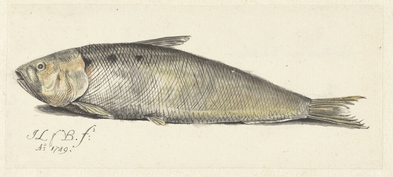 Fint da Johannes le Francq van Berkhey