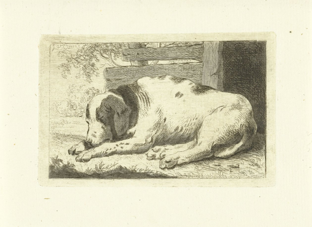 Cane che dorme da Johannes van Cuylenburgh