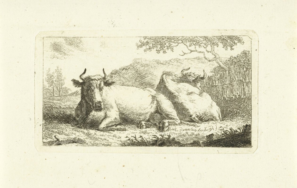 Due mucche sdraiate da Johannes van Cuylenburgh