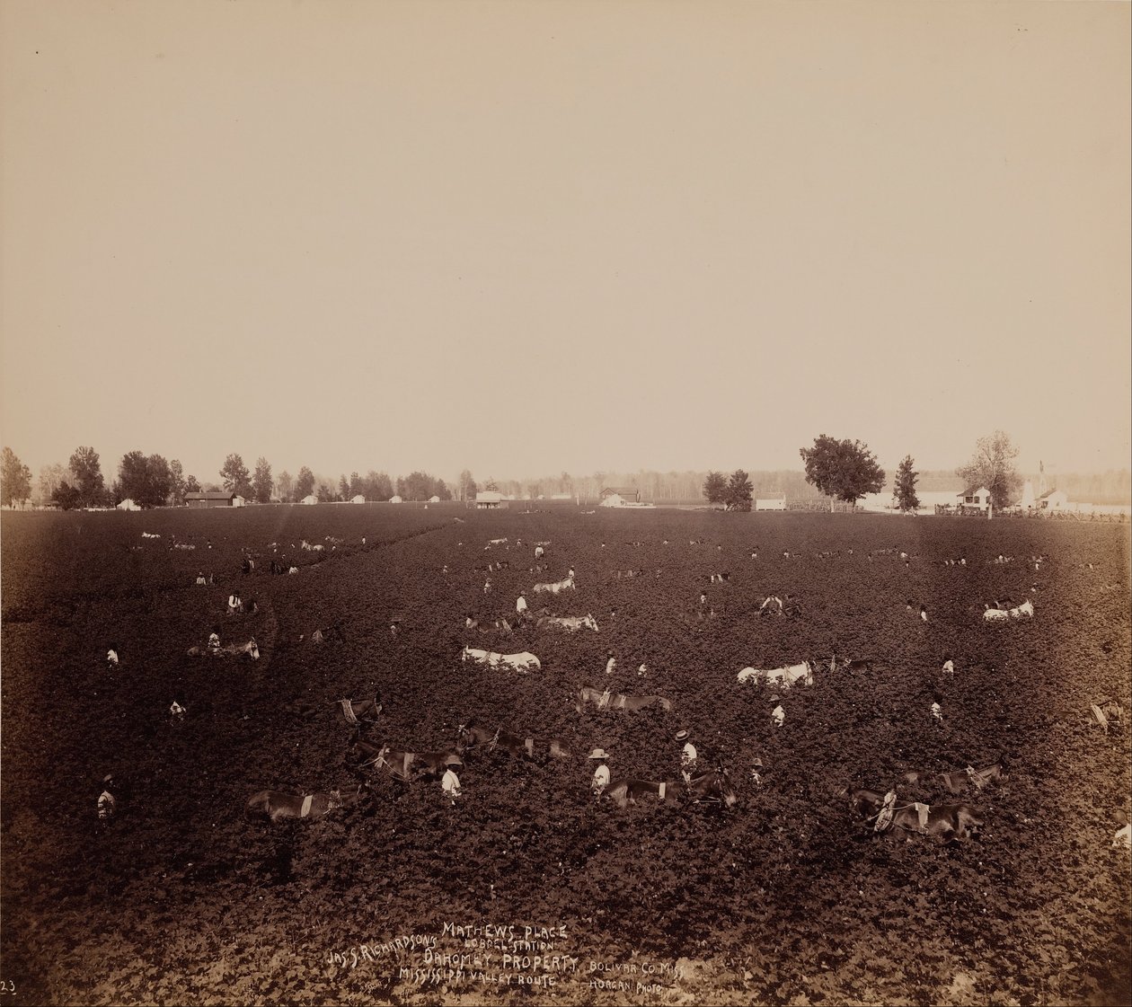 Mathews Place, Stazione di Lobdel, Proprietà di Jas. S. Richardson, Bolivar Co., Miss., Valle del Mississippi da John Horgan Jr.