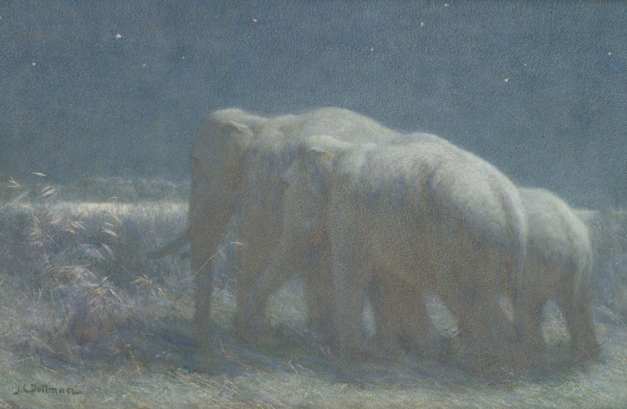 Notte, 1908 da John Charles Dollman