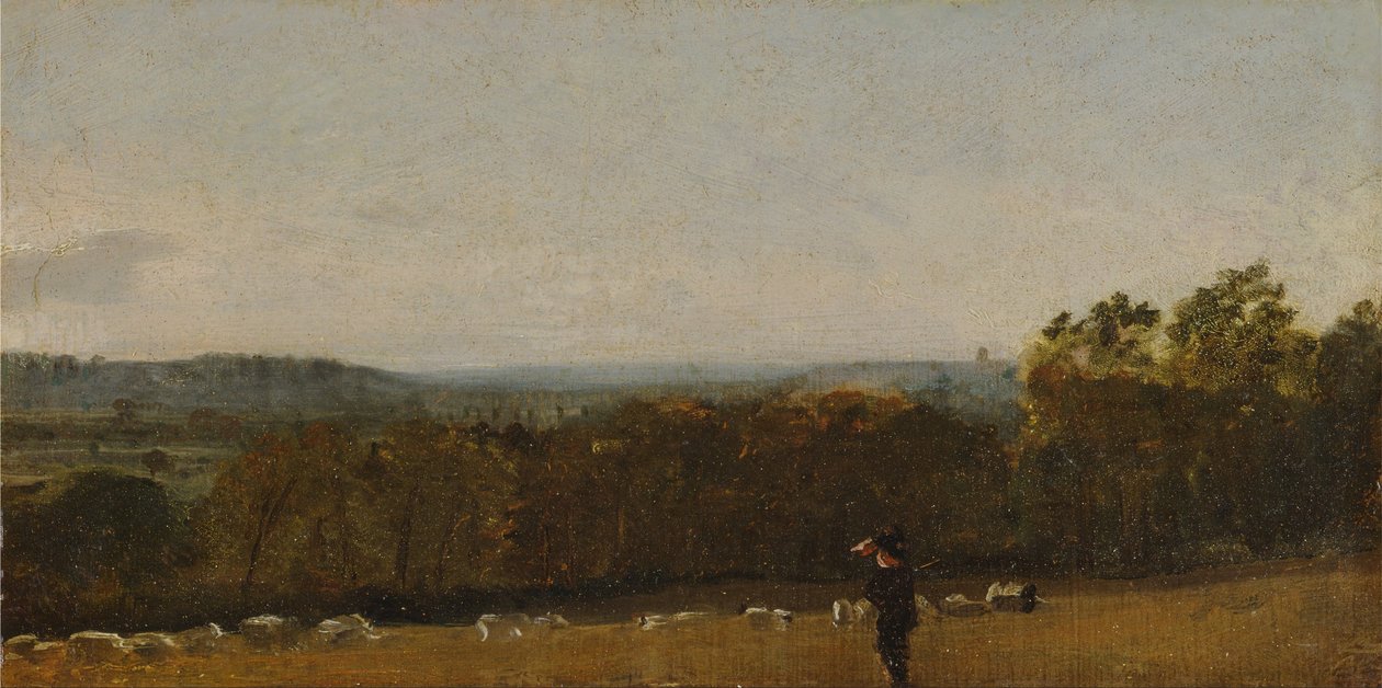 Un pastore in un paesaggio che guarda attraverso Dedham Vale verso Langham da John Constable