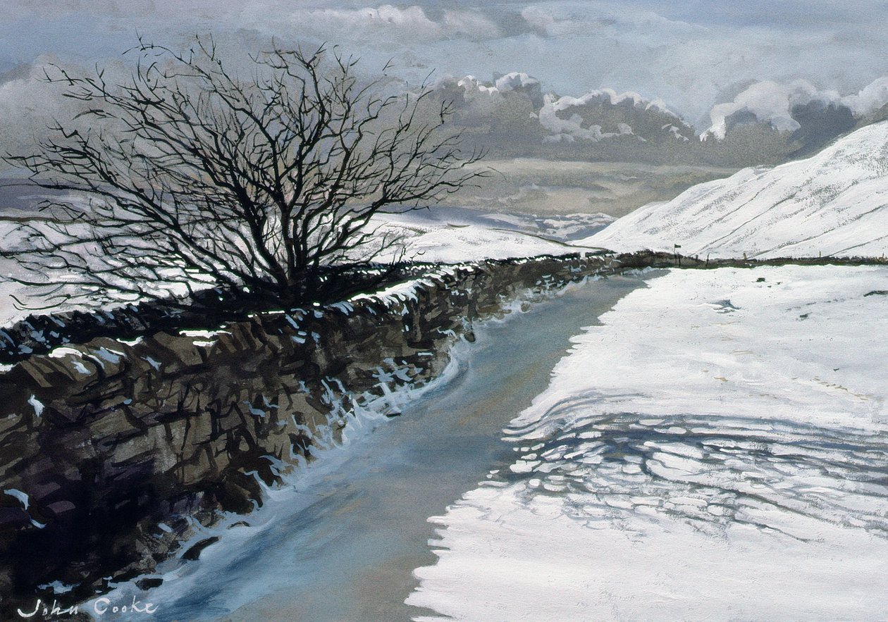 Neve sopra Barbondale, Barbon, vicino a Kirby Lonsdale, Cumbria da John Cooke