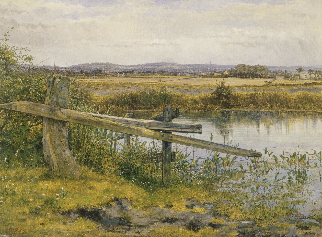 Il fiume, 1862 da John Edward Newton