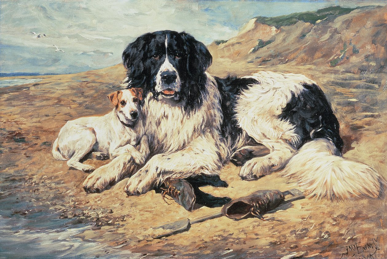 Cani che osservano i bagnanti, 1900 da John Emms