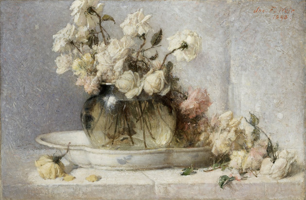 Rose da John Ferguson Weir