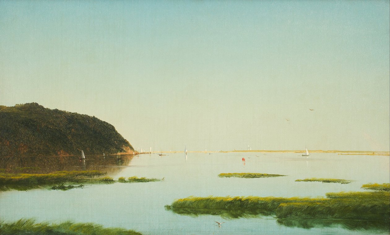 Vista del fiume Shrewsbury, New Jersey da John Frederick Kensett