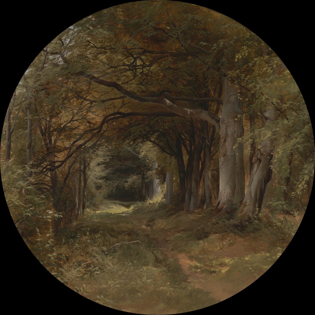 Paesaggio da John Middleton