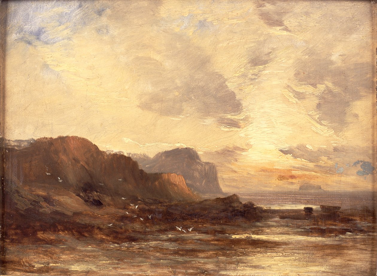 La costa del Berwickshire da John Milne Donald
