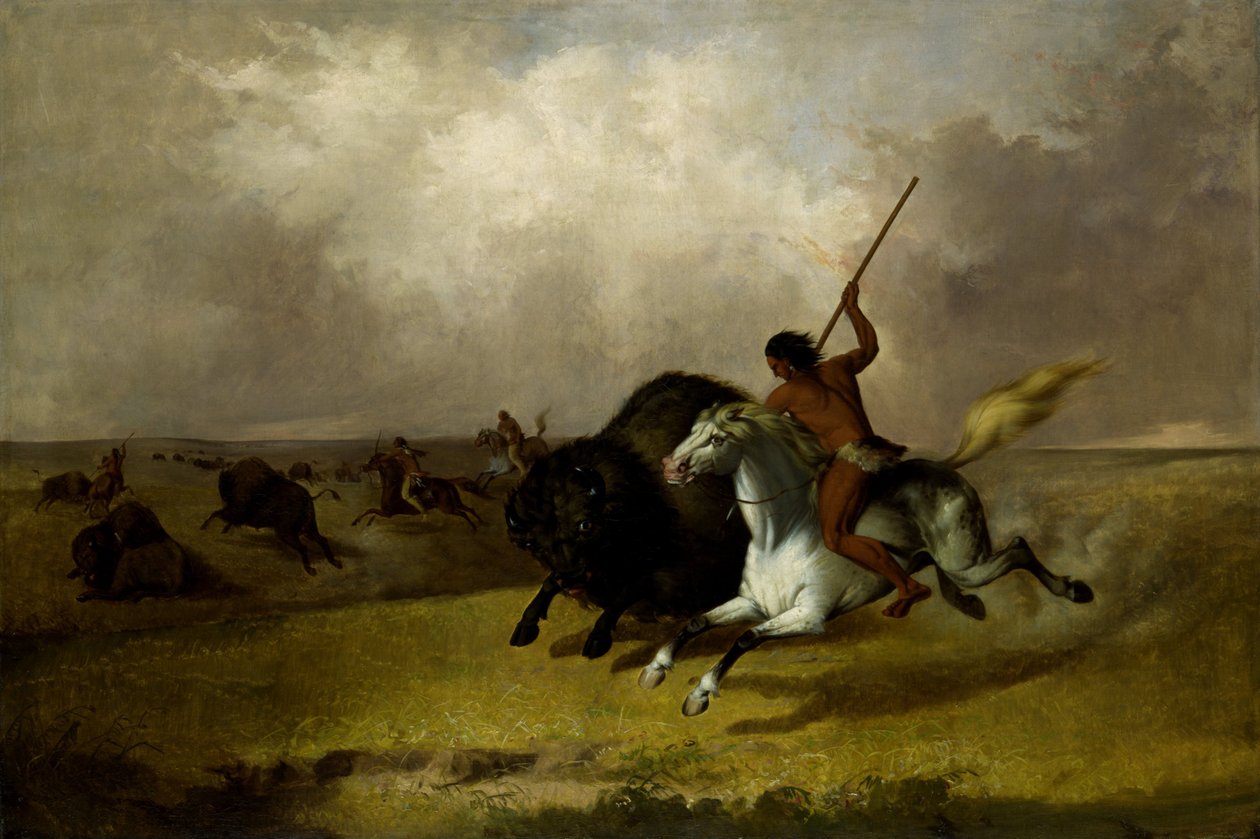 Caccia al Bisonte nelle Praterie del Sud-Ovest da John Mix Stanley