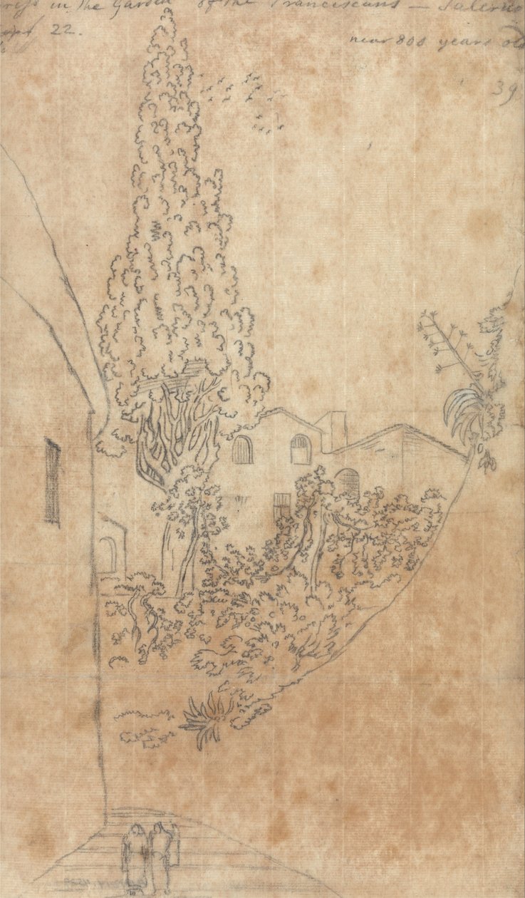 Cipresso nel giardino dei Francescani a Salerno da John Robert Cozens