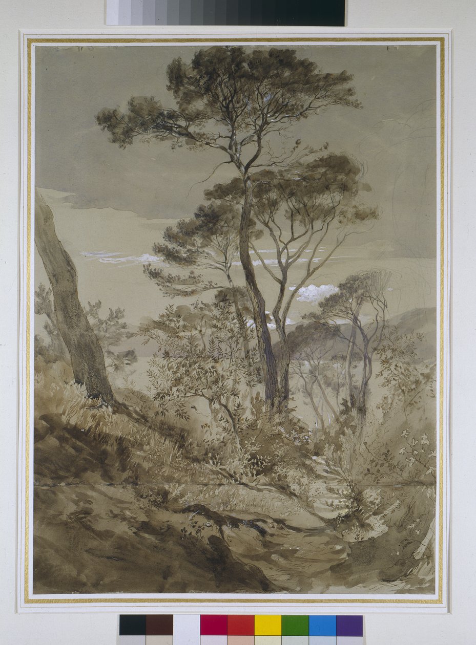 Pini di pietra a Sestri, Golfo di Genova, 30 aprile 1845 da John Ruskin